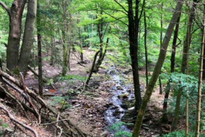 Übersicht über die von uns angebotenen Aktivitäten